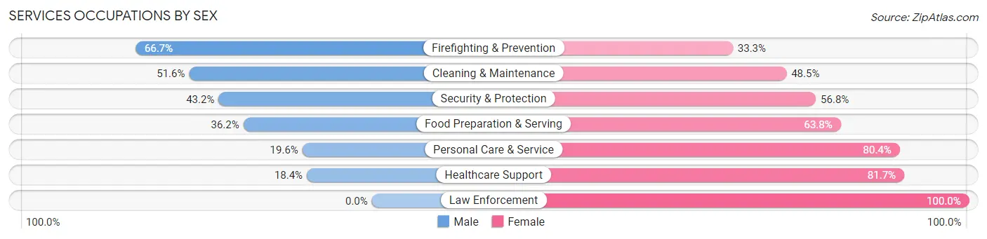 Services Occupations by Sex in Zip Code 68110