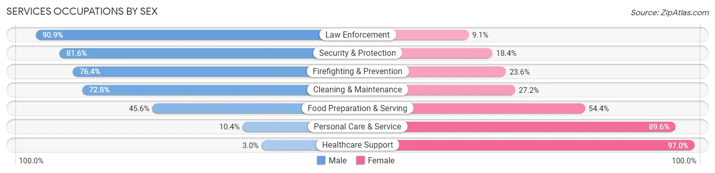 Services Occupations by Sex in Zip Code 68134