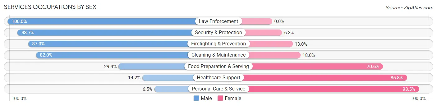 Services Occupations by Sex in Zip Code 68136