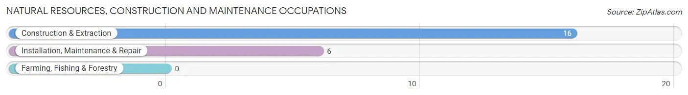 Natural Resources, Construction and Maintenance Occupations in Zip Code 68318