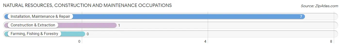 Natural Resources, Construction and Maintenance Occupations in Zip Code 68319