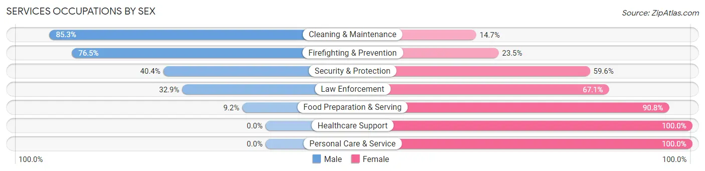 Services Occupations by Sex in Zip Code 68333