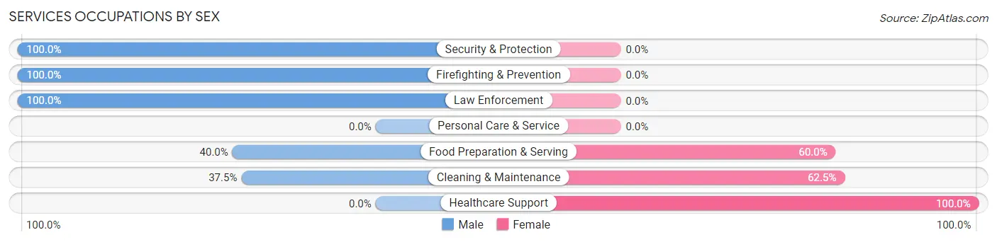 Services Occupations by Sex in Zip Code 68341