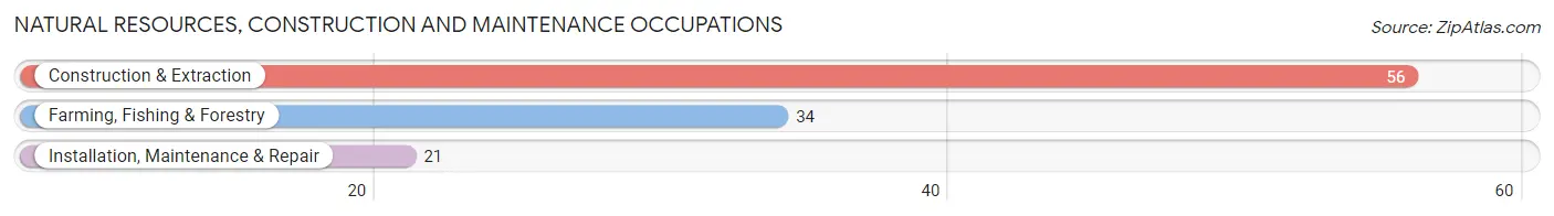 Natural Resources, Construction and Maintenance Occupations in Zip Code 68343