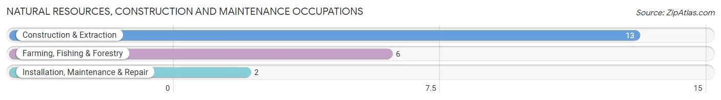 Natural Resources, Construction and Maintenance Occupations in Zip Code 68345