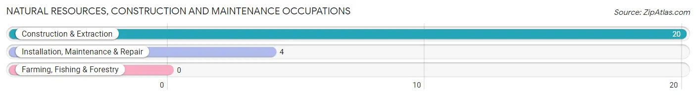 Natural Resources, Construction and Maintenance Occupations in Zip Code 68360