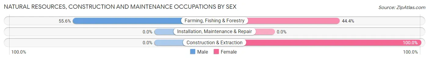Natural Resources, Construction and Maintenance Occupations by Sex in Zip Code 68381