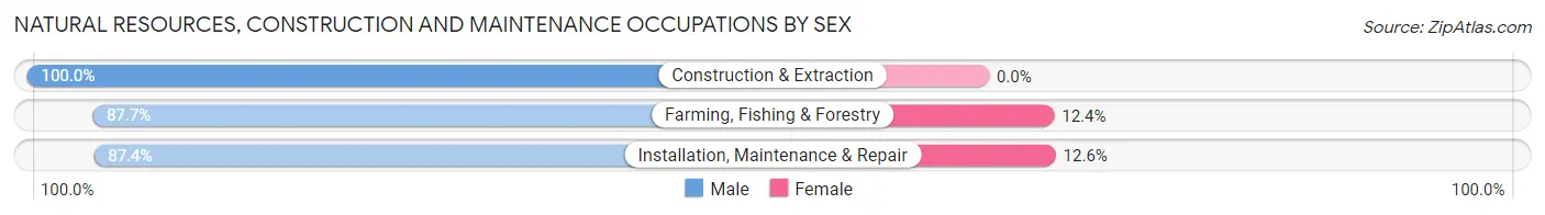 Natural Resources, Construction and Maintenance Occupations by Sex in Zip Code 68405