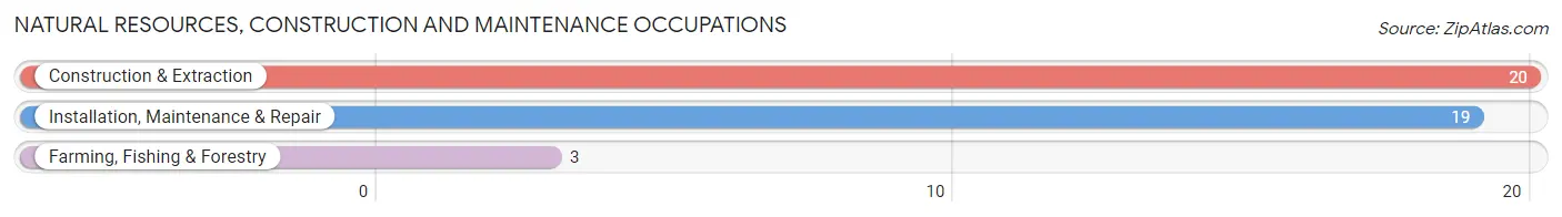 Natural Resources, Construction and Maintenance Occupations in Zip Code 68436