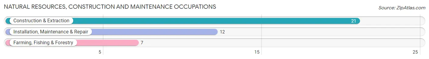 Natural Resources, Construction and Maintenance Occupations in Zip Code 68437