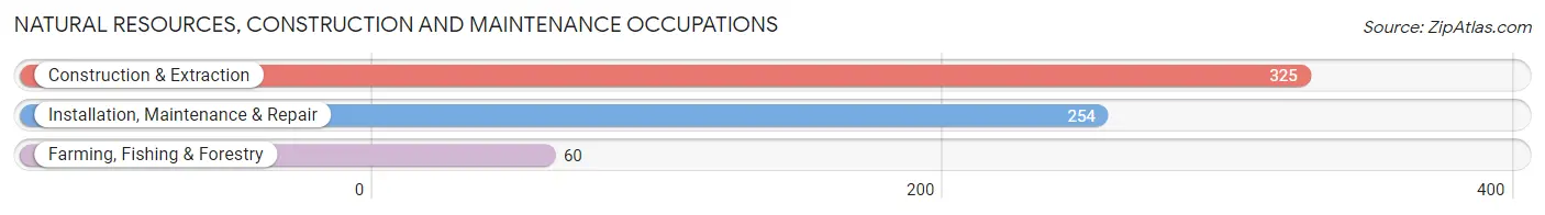 Natural Resources, Construction and Maintenance Occupations in Zip Code 68512