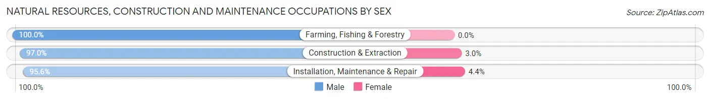 Natural Resources, Construction and Maintenance Occupations by Sex in Zip Code 68524