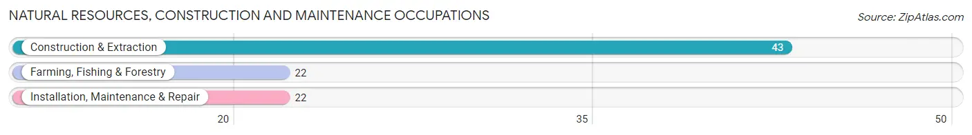 Natural Resources, Construction and Maintenance Occupations in Zip Code 68633