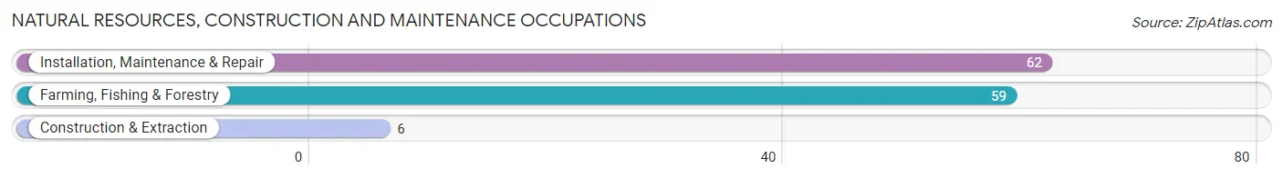 Natural Resources, Construction and Maintenance Occupations in Zip Code 68636