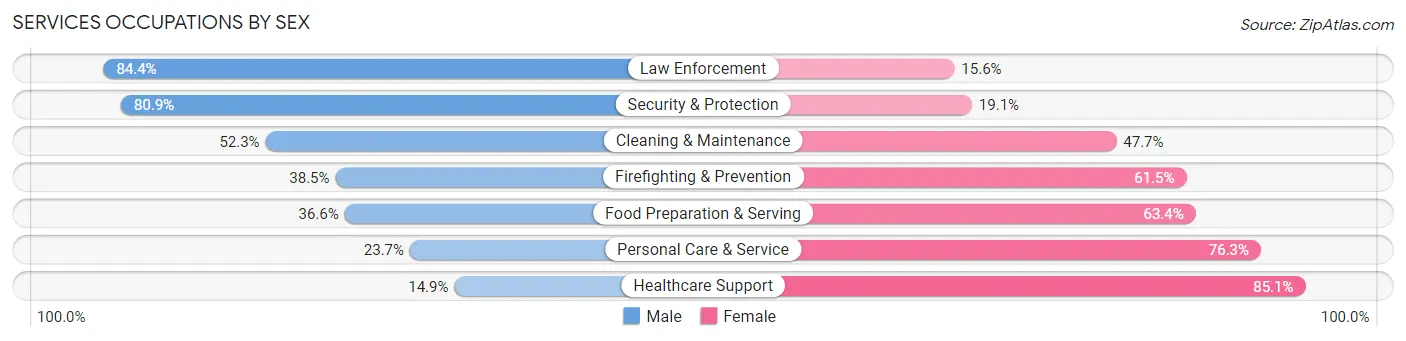 Services Occupations by Sex in Zip Code 68701