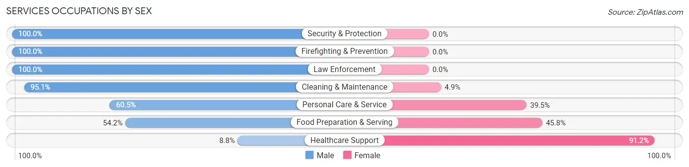 Services Occupations by Sex in Zip Code 68729