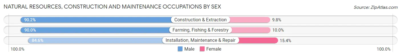 Natural Resources, Construction and Maintenance Occupations by Sex in Zip Code 68730