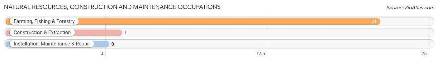 Natural Resources, Construction and Maintenance Occupations in Zip Code 68734