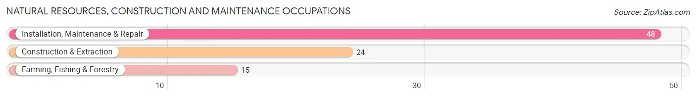 Natural Resources, Construction and Maintenance Occupations in Zip Code 68741