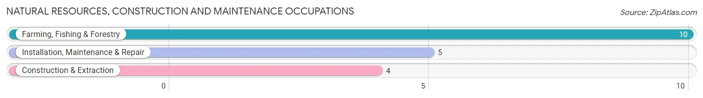 Natural Resources, Construction and Maintenance Occupations in Zip Code 68774