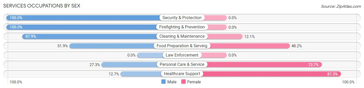 Services Occupations by Sex in Zip Code 68869