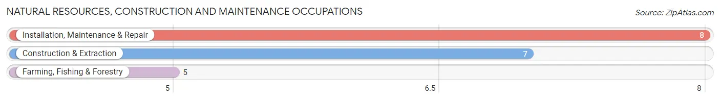 Natural Resources, Construction and Maintenance Occupations in Zip Code 68871