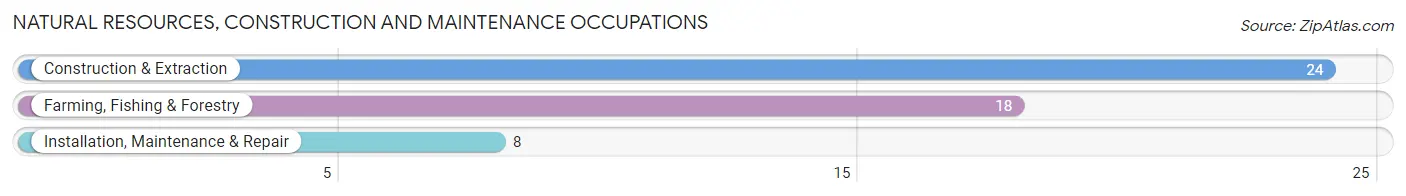 Natural Resources, Construction and Maintenance Occupations in Zip Code 68875