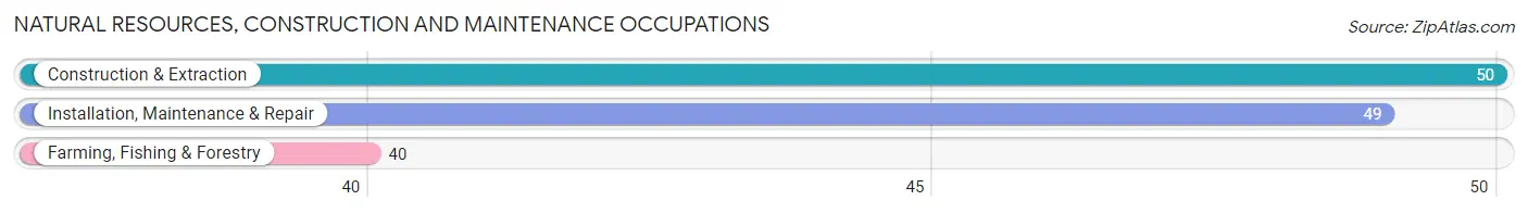 Natural Resources, Construction and Maintenance Occupations in Zip Code 68876