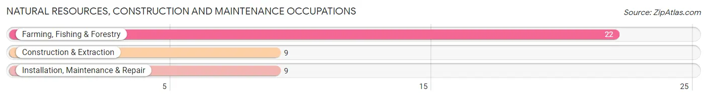 Natural Resources, Construction and Maintenance Occupations in Zip Code 68879