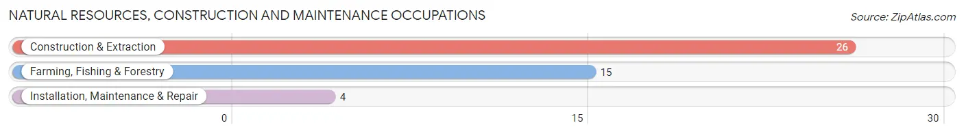 Natural Resources, Construction and Maintenance Occupations in Zip Code 68940