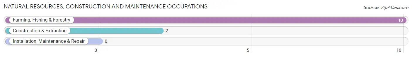 Natural Resources, Construction and Maintenance Occupations in Zip Code 68952