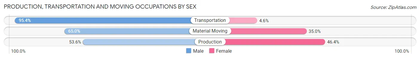 Production, Transportation and Moving Occupations by Sex in Zip Code 69001