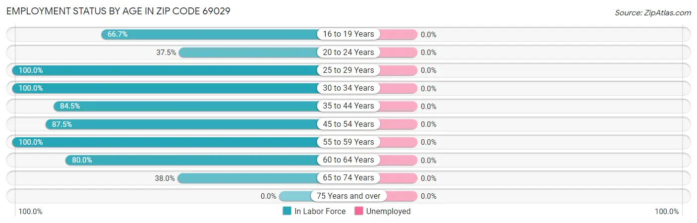 Employment Status by Age in Zip Code 69029