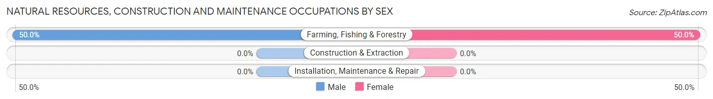 Natural Resources, Construction and Maintenance Occupations by Sex in Zip Code 69039