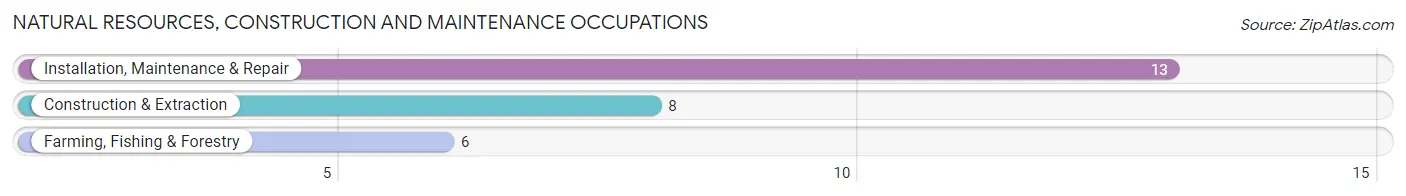 Natural Resources, Construction and Maintenance Occupations in Zip Code 69043