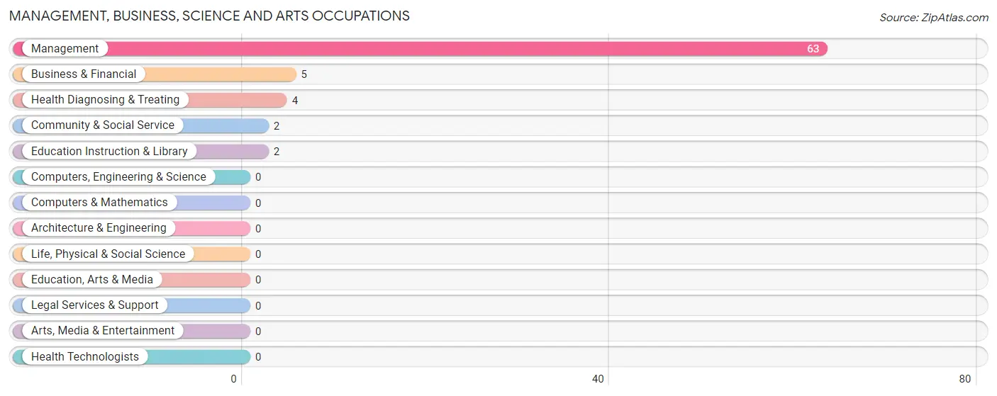 Management, Business, Science and Arts Occupations in Zip Code 69046