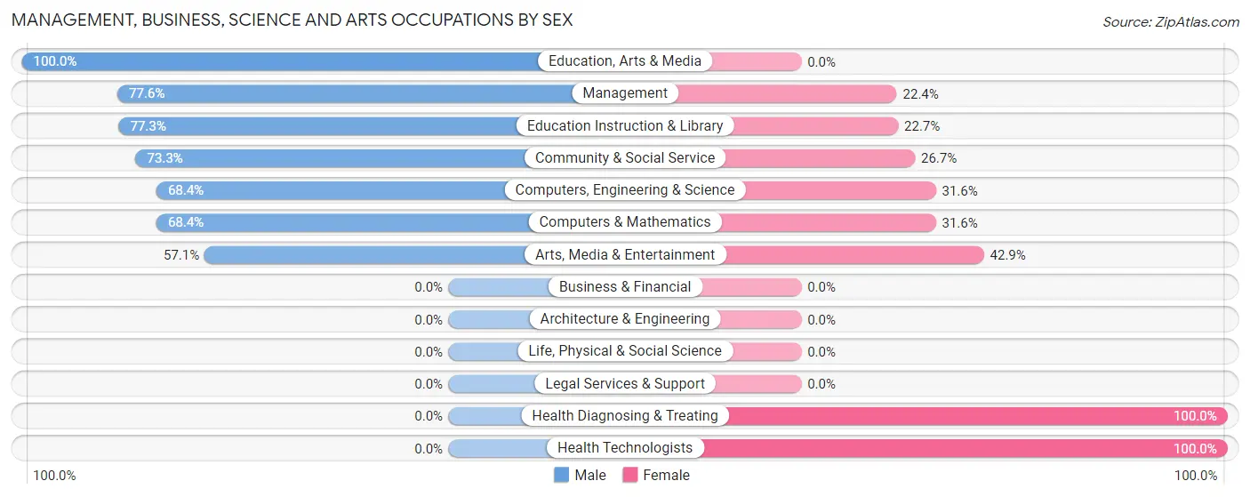 Management, Business, Science and Arts Occupations by Sex in Zip Code 69131