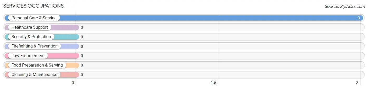 Services Occupations in Zip Code 69132