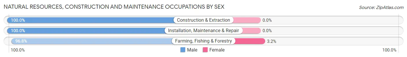 Natural Resources, Construction and Maintenance Occupations by Sex in Zip Code 69152