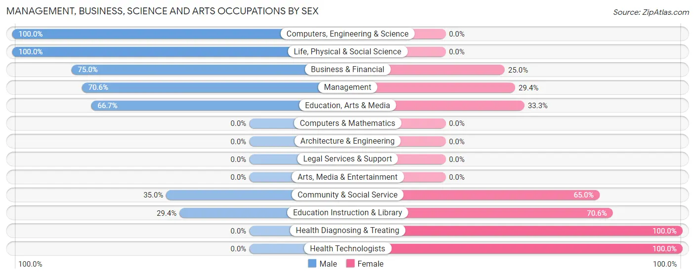 Management, Business, Science and Arts Occupations by Sex in Zip Code 69163