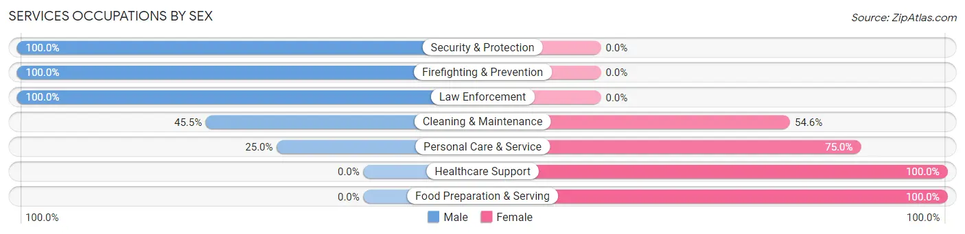 Services Occupations by Sex in Zip Code 69163