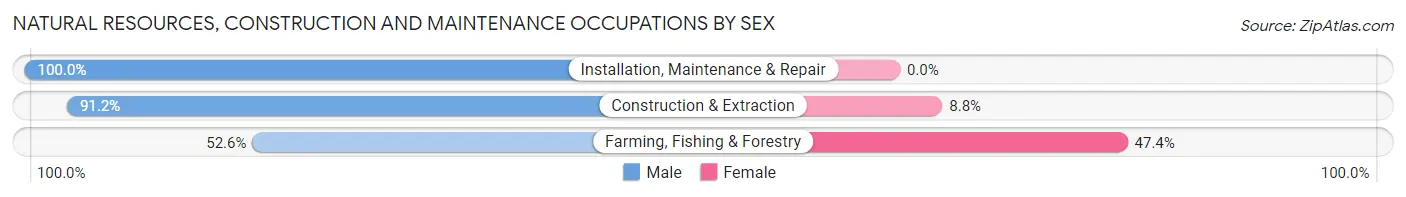 Natural Resources, Construction and Maintenance Occupations by Sex in Zip Code 69357
