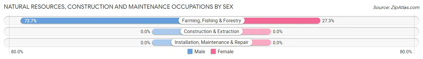 Natural Resources, Construction and Maintenance Occupations by Sex in Zip Code 69366
