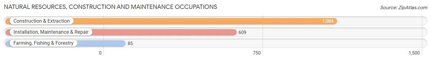 Natural Resources, Construction and Maintenance Occupations in Zip Code 70003