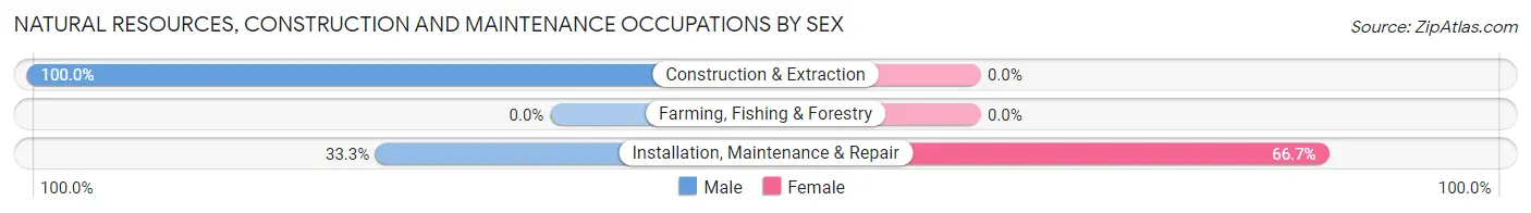 Natural Resources, Construction and Maintenance Occupations by Sex in Zip Code 70051