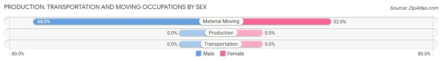 Production, Transportation and Moving Occupations by Sex in Zip Code 70091