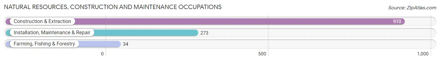 Natural Resources, Construction and Maintenance Occupations in Zip Code 70119