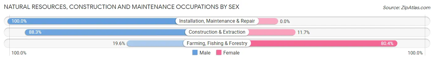 Natural Resources, Construction and Maintenance Occupations by Sex in Zip Code 70124