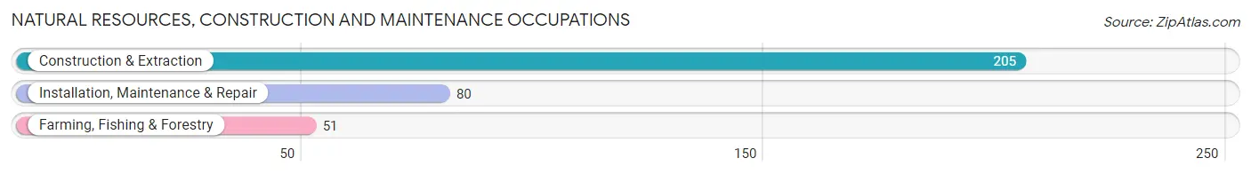 Natural Resources, Construction and Maintenance Occupations in Zip Code 70124