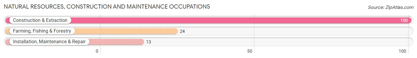 Natural Resources, Construction and Maintenance Occupations in Zip Code 70130